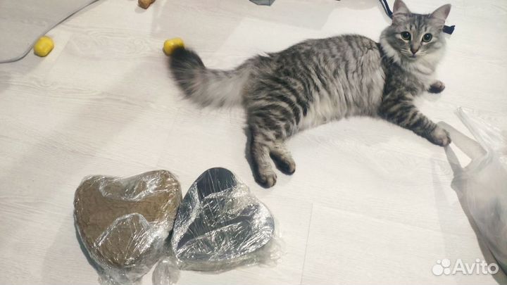 Портбукетницы сердце