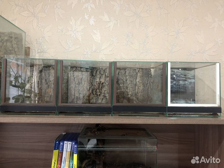 Продам террариумы