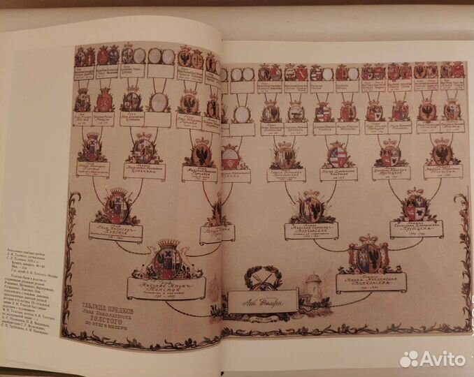 Toлcтой и Толcтые