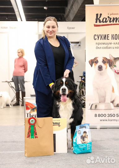 Академия Умных лап.Хендлинг.Дрессировка