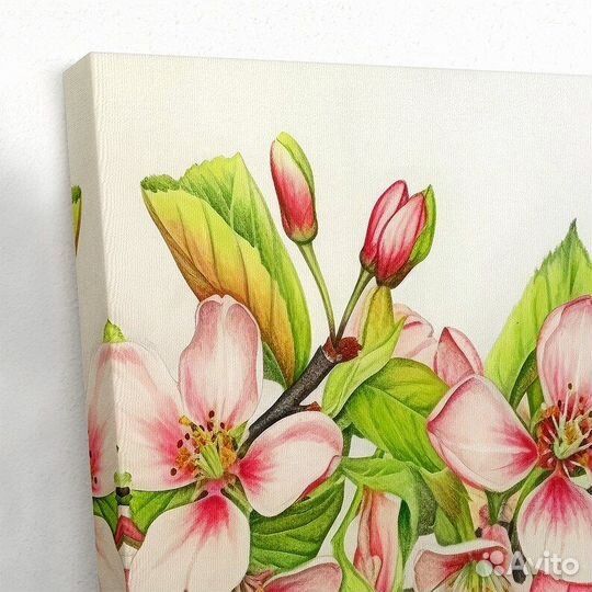 Картины маслом Модульная картина белой сакуры