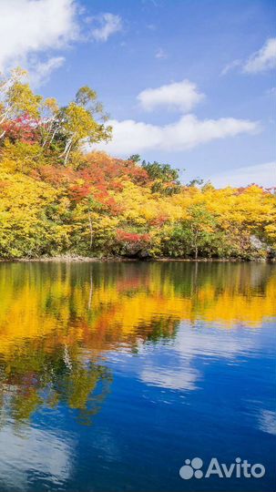 Детские вещи для девочки 104-122