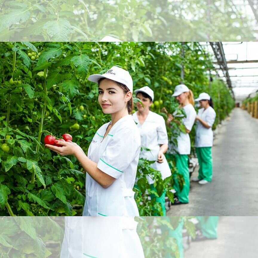 Посейдон порно көру