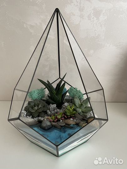 Флорариум суккуленты