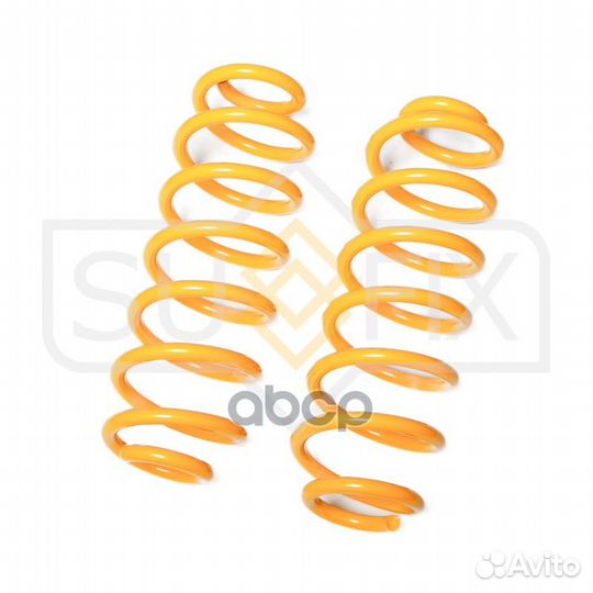 Пружины подвески зад прав/лев VW Passat 10