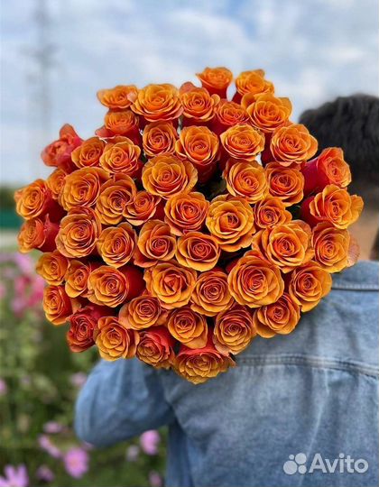 Роза букет из 51 розы с доставкой в Новосибирске