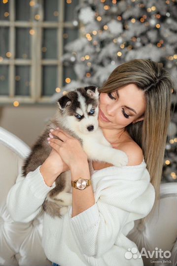 Новогодняя Фотосессия Фотопроекты Все включено