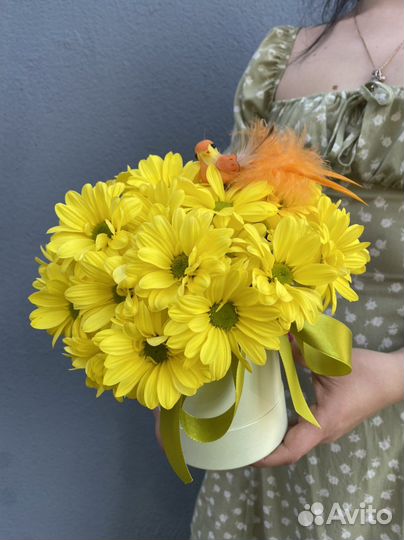 Хризантема