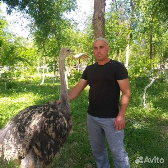 Садовник помощник по хозяйству