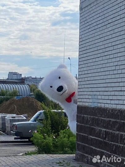 Ростовая кукла Омск