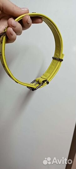 Ошейник для собаки средней породы