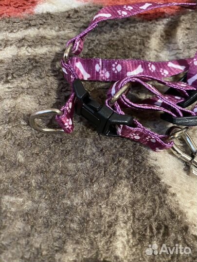 Шлейка для кошки