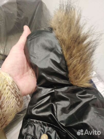 Одежда для собак