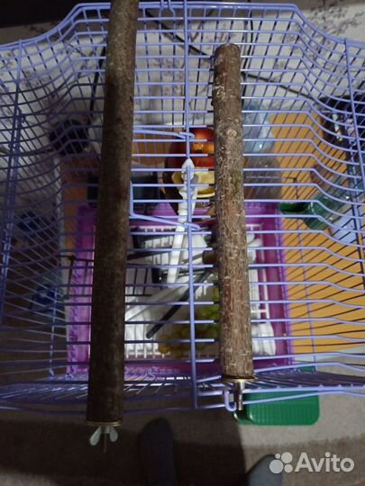 Клетка для попугая