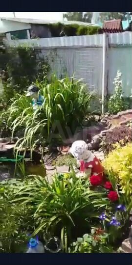 Дом 57 м² на участке 4,5 сот.