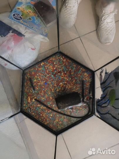 Аквариум под ремонт