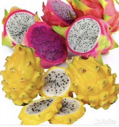 Питахайя и минипапайя-питомник:подарок любимым