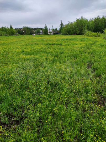 Участок 11 сот. (ИЖС)