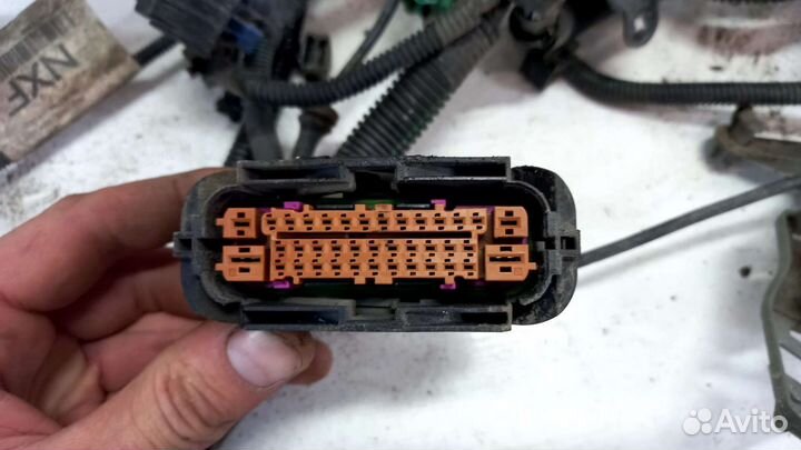 Проводка двигателя 2.0 ecoboost Ford Mondeo 4