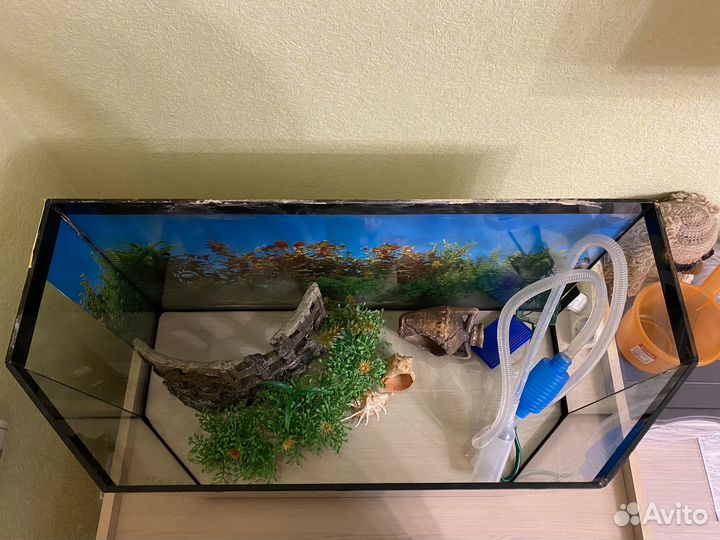 Аквариум 80 л с оборудованием и декорациями