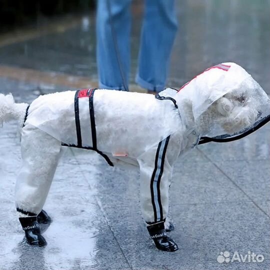 Плащ для собак