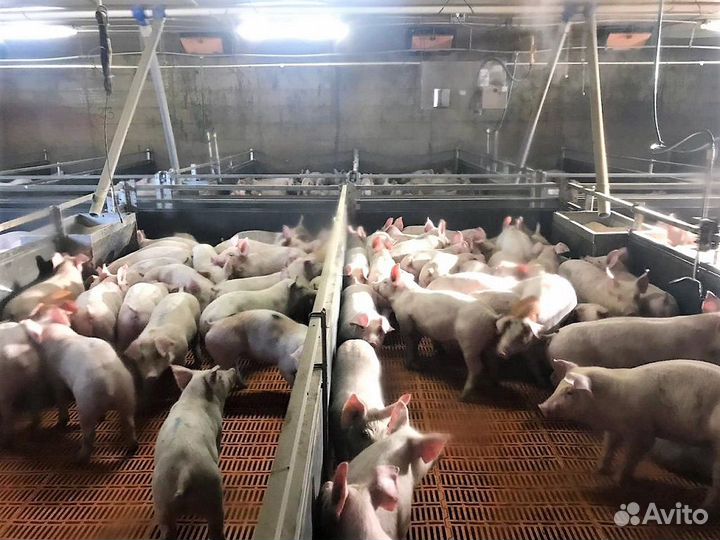 Работник на производство без опыта