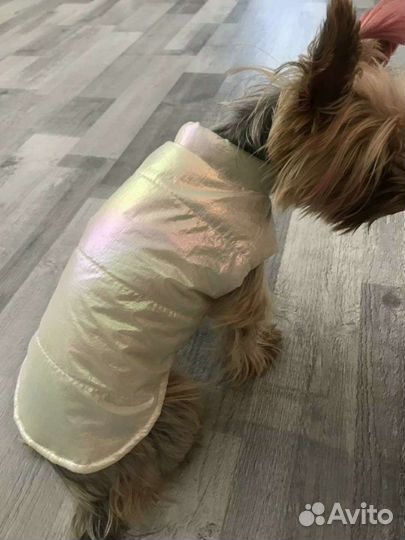 Жилетки для собаки