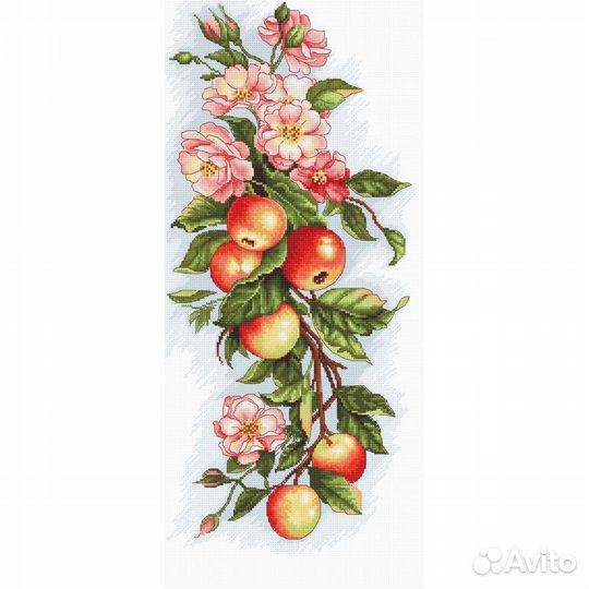 B211 Набор для вышивания 'Композиция с яблоками' 1
