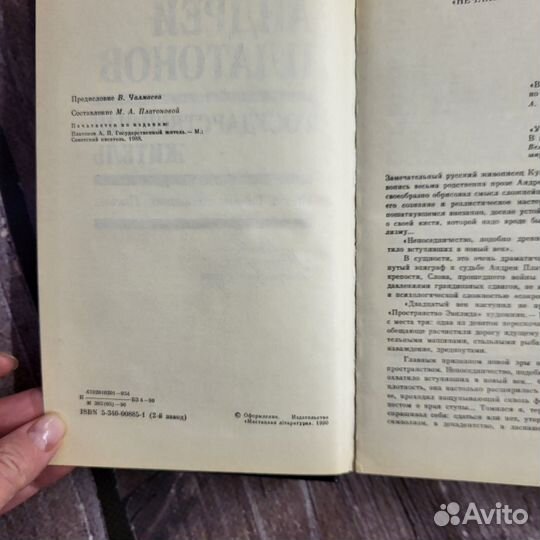 Книга Андрей Платонов Государственный житель 1990
