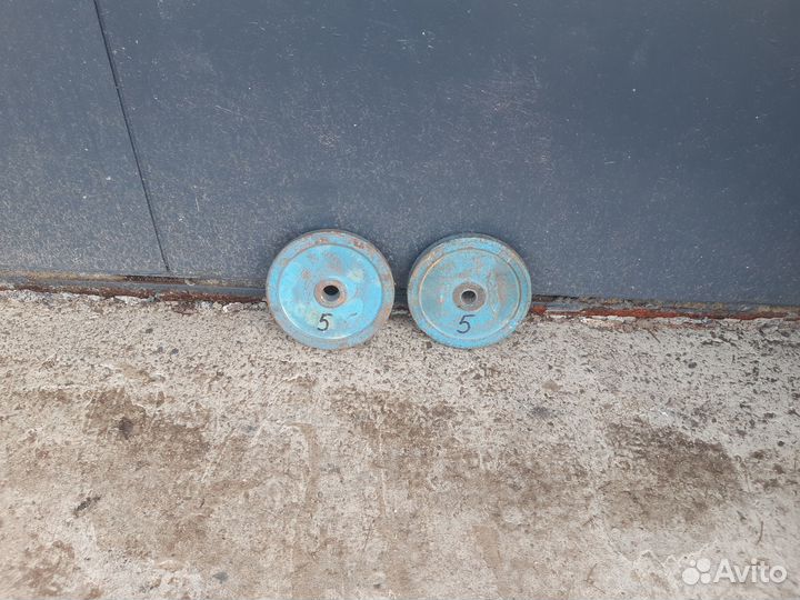 Блины для штанги по 5 кг