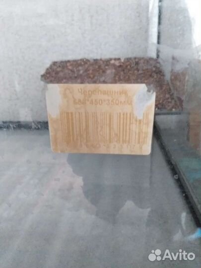 Аквариум Авгурь