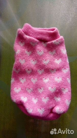 Одежда для маленькой кошки или собачки