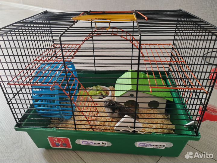 Хомяк с клеткой