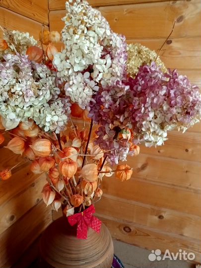 Гортензии сухоцвет