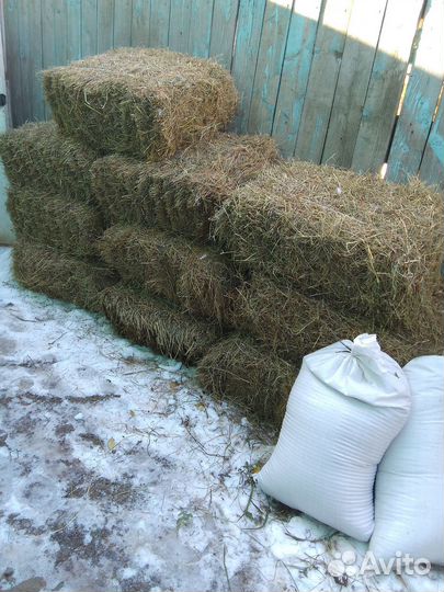 Сено В тюках;, В розницу от 1-штук;