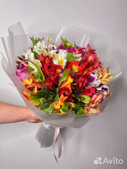 Альстромерия