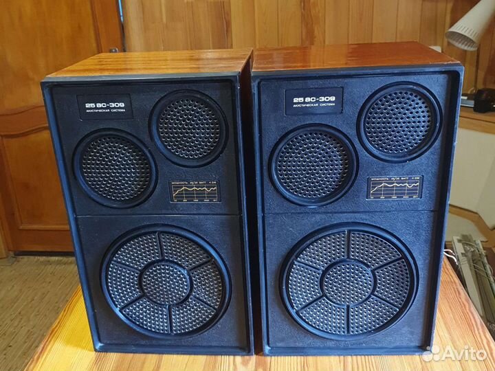 Акустика 25ас-309