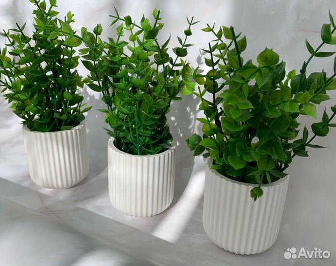 Кашпо с осокой/эвкалиптом/ягелем