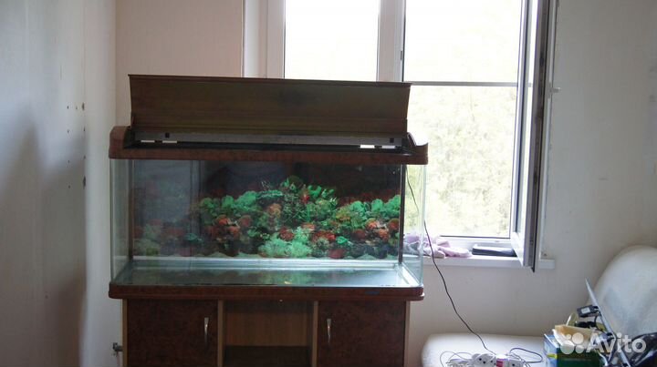 Аквариум jedo 300 литров
