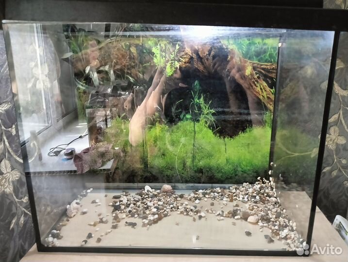 Аквариум