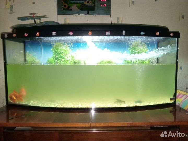 Аквариум