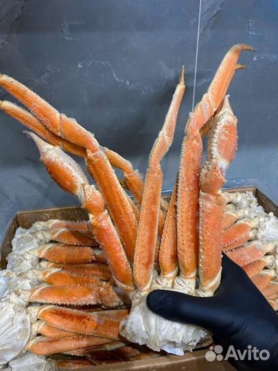 Клешни краба стригуна 2L