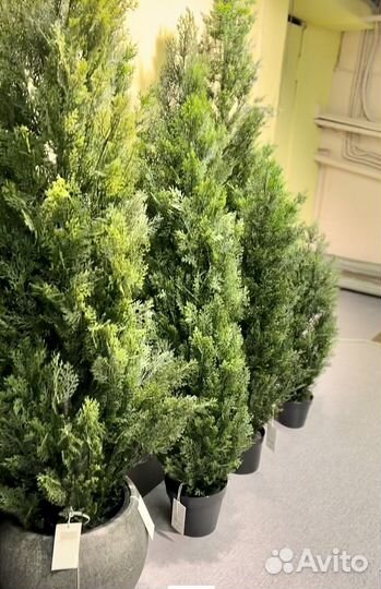 Искусственная Туя