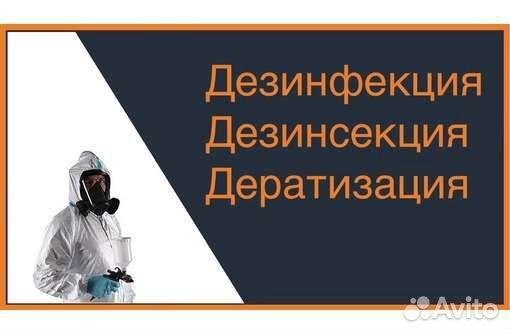 Уничтожение тараканов и клопов