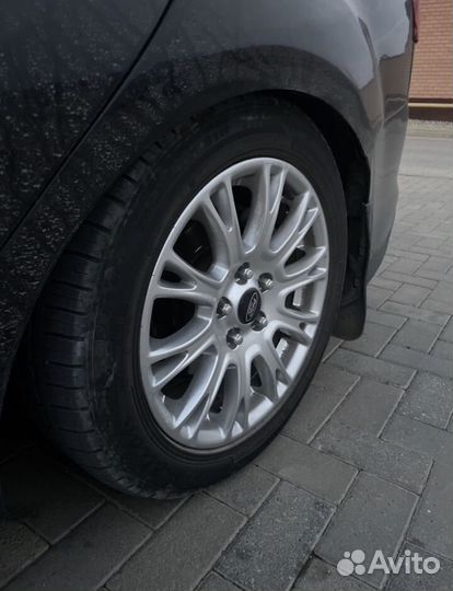 Калеса пауки