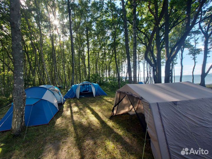 Шатер малый аренда на 12 человек