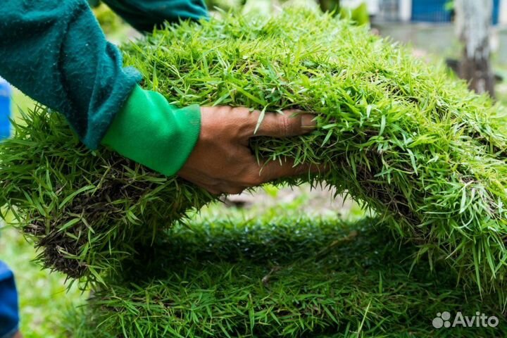 Рабочие на укладку газона (Вахта) Жильё/питание