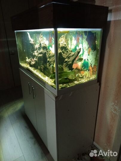 Аквариум