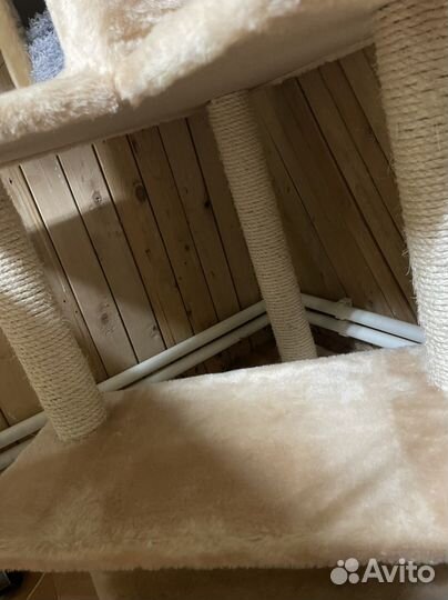 Когтеточка