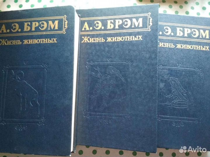 Три тома энциклопедии Брема о животных